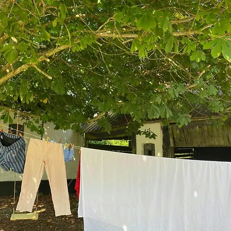 Countryside Estate By Almindingen Bornholm